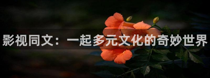小小影视的：影视同文：一起多元文化的奇妙世界