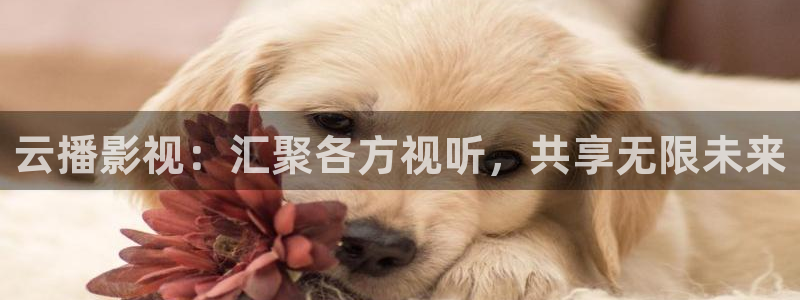 小小影视官网：云播影视：汇聚各方视听，共享无限未来