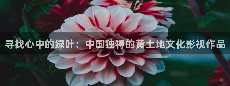 小小影视视频大全：寻找心中的绿叶：中国独特的黄土地文化影视作品