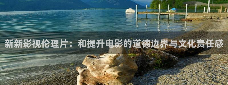 神马我不卡小小影视网：新新影视伦理片：和提升电影的道德边界与文化责任感