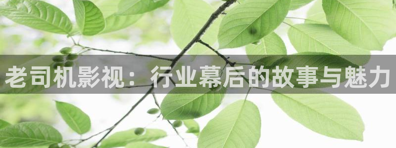 小小影视下：老司机影视：行业幕后的故事与魅力