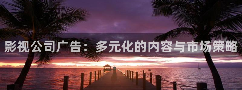 小小影视延禧攻略：影视公司广告：多元化的内容与市场策略