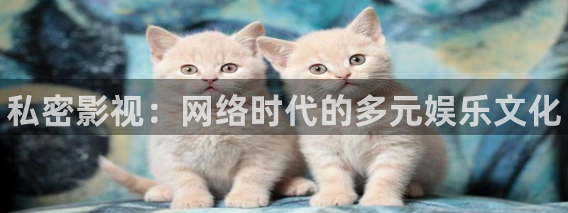 小小影视大全正版下载：私密影视：网络时代的多元娱乐文化