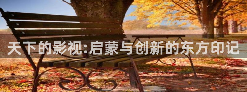 小小影视大全高清：天下的影视:启蒙与创新的东方印记